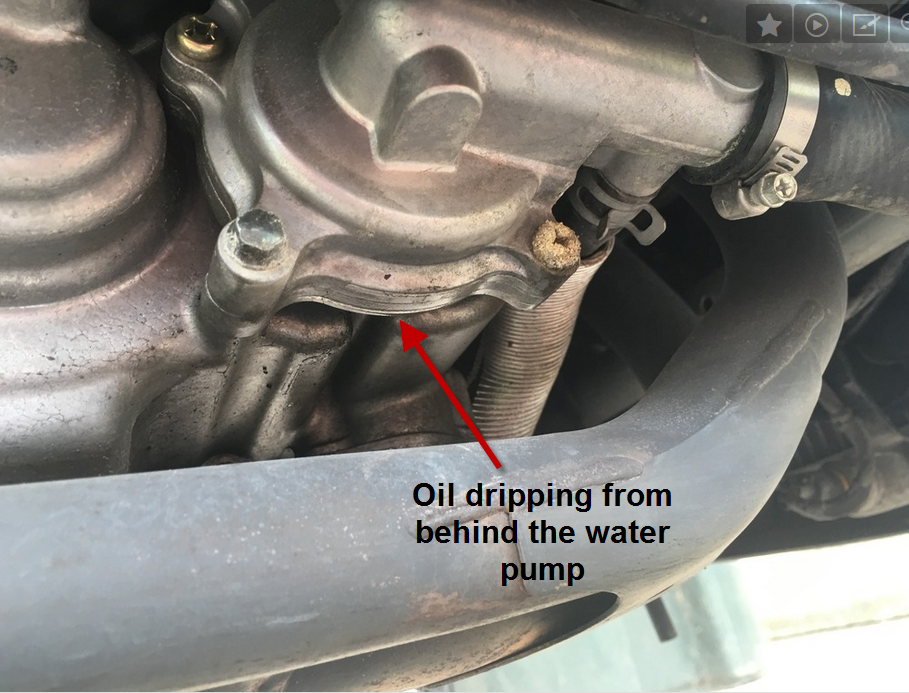 Water Pump Oil Leak Suzuki Burgman USA Forum